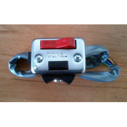 Light switch with chrome cover with installation.