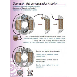Ruptor electrónico para sustitución de platinos y condensador.