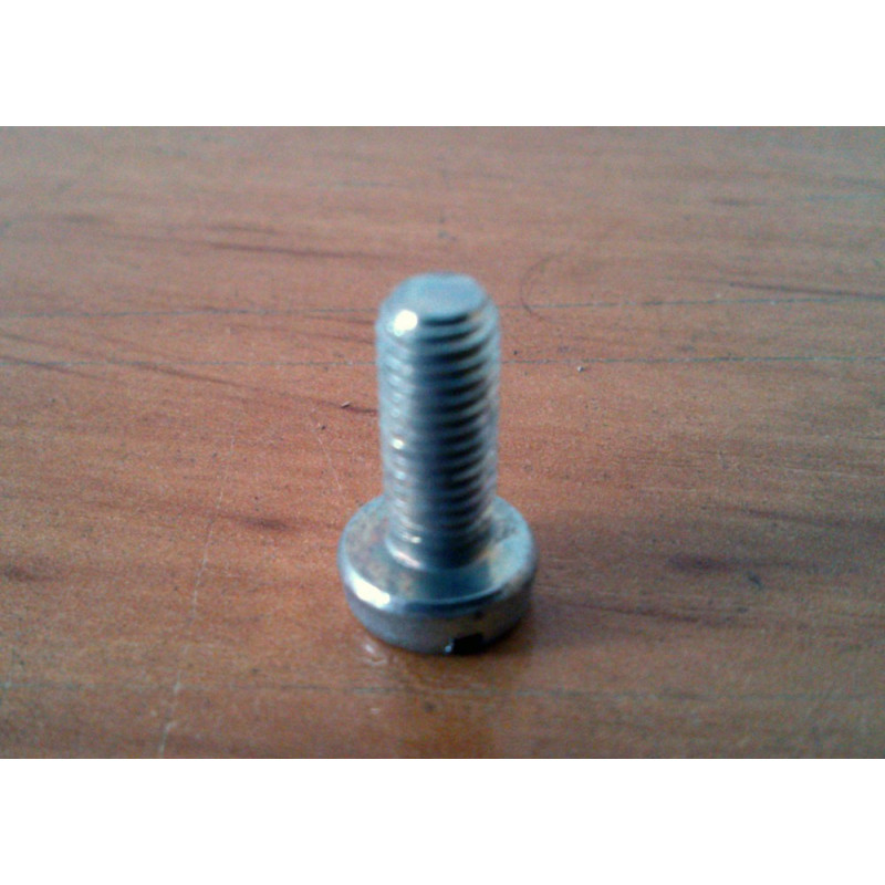 Screw fixation entry gasoline Dellorto carburettor.