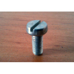Screw fixation entry gasoline Dellorto carburettor.
