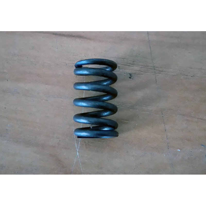 Derbi clutch spring.