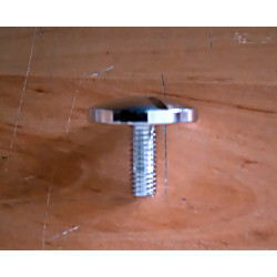 Bultaco chrome screw fastening shock absorber.