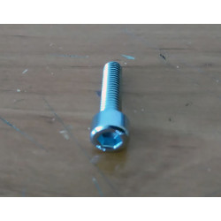 Allen head screw DIN 912 6X25MM. ZB.