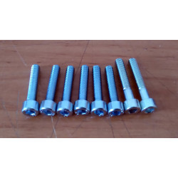 Allen set screw clutch cover Bultaco.