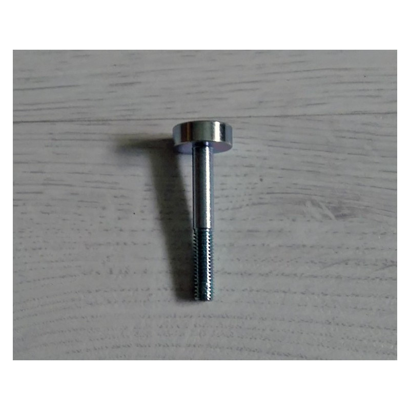 Bultaco clutch oil drain screw.