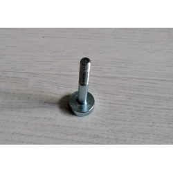 Bultaco clutch oil drain screw.
