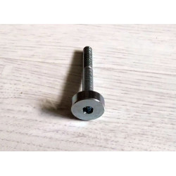 Bultaco clutch oil drain screw.