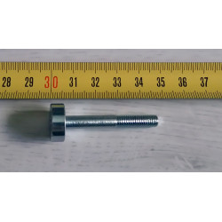 Bultaco clutch oil drain screw.
