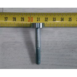 Bultaco clutch oil drain screw.