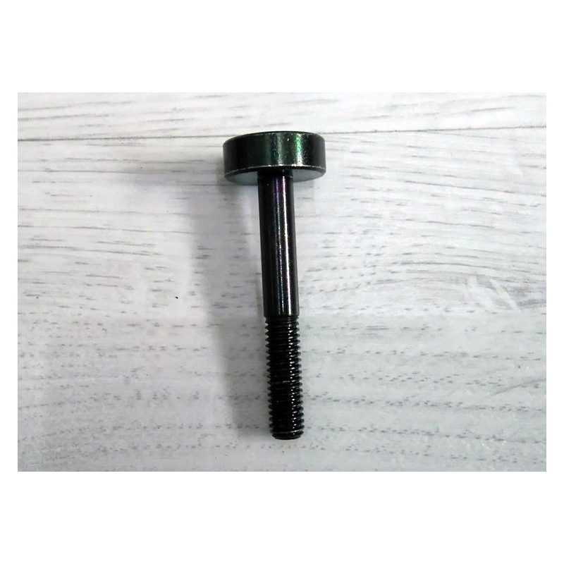 Bultaco clutch oil drain screw.