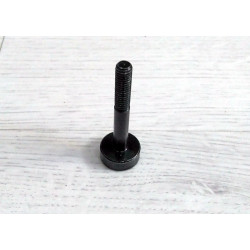 Bultaco clutch oil drain screw.