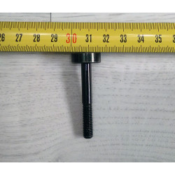 Bultaco clutch oil drain screw.