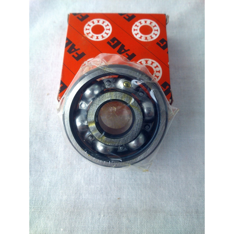 FAG Bearing 6301