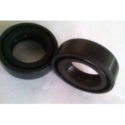 Seal 25X40X12 Double Spring.